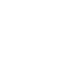 Automobile electronics
